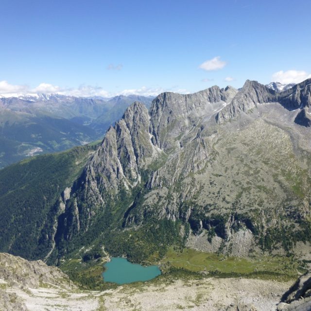 Prateria alpina verde con fiori e montagne sullo sfondo