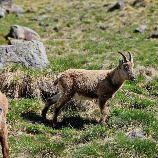 15ef7f85-6082-41bc-b846-312c5eada36c