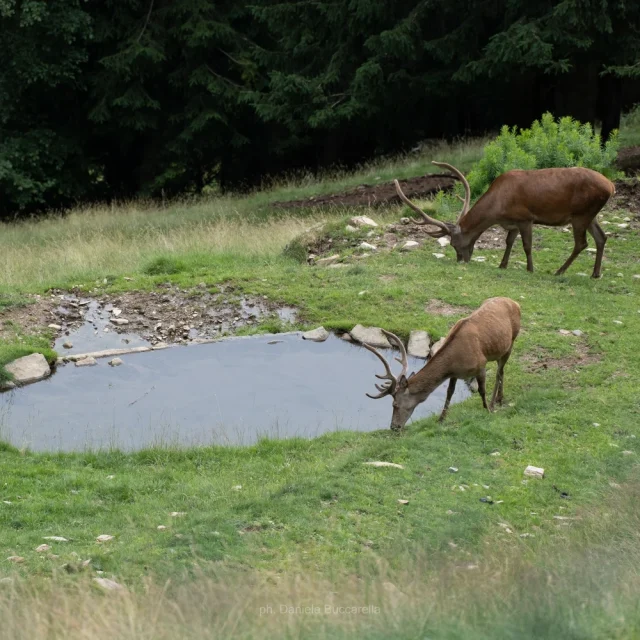 Veduta panoramica della Valle Camonica tra montagne e cielo sereno