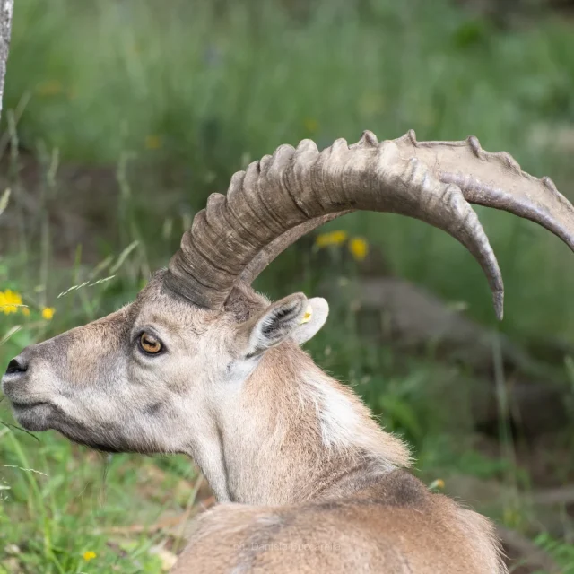 Sentiero naturalistico tra le montagne della Valle Camonica