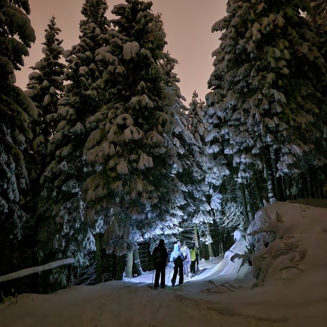 4f7c6e41-6385-4e88-a651-baa2dea935f0