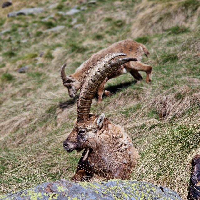 74a50322-6970-43b6-a10d-d8b76d9e1f48