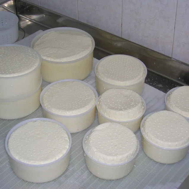 Tradizione casearia nelle malghe