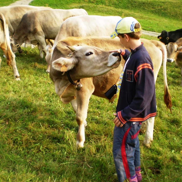 Produzione di formaggio e latte locale