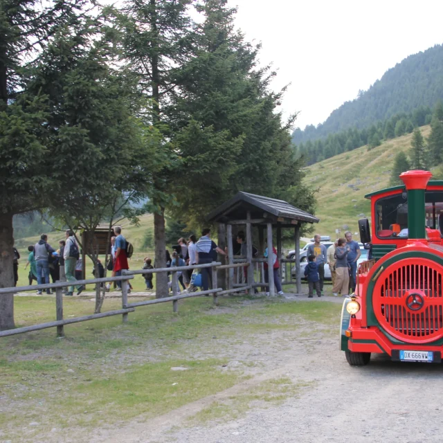 Trenino nel bosco con bambini