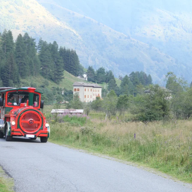 Passeggiata con trenino immerso nel verde
