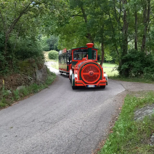 Passeggiata con trenino immerso nel verde