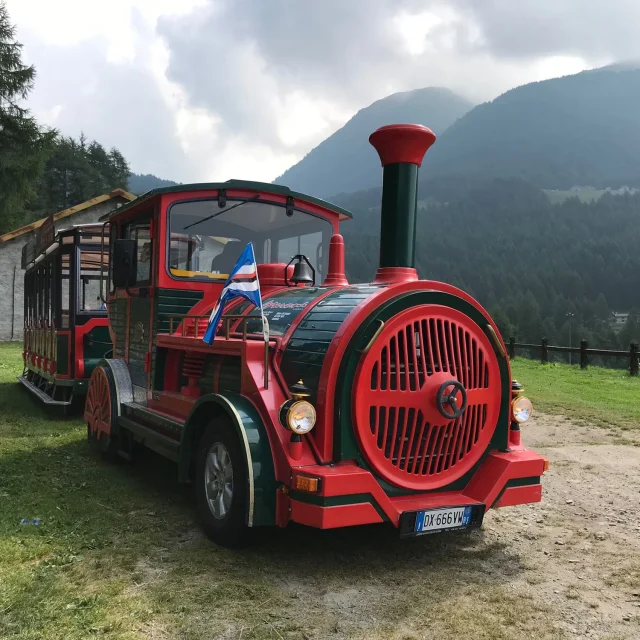 Escursione turistica con trenino