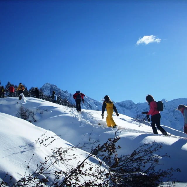 Attività invernale con osservazione fauna