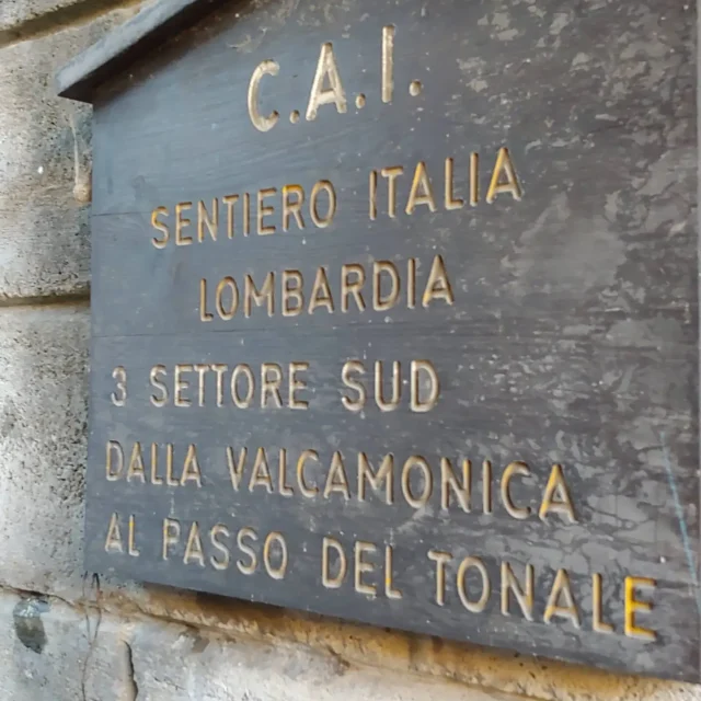 Sentiero tra montagne e vegetazione alpina