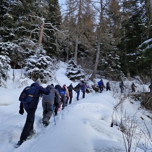 a67ff210-46e9-4a4f-9ae8-f684daec3211