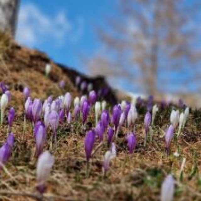 af55b9fb-7baf-4c07-88ca-844fd1bc84af-225x300