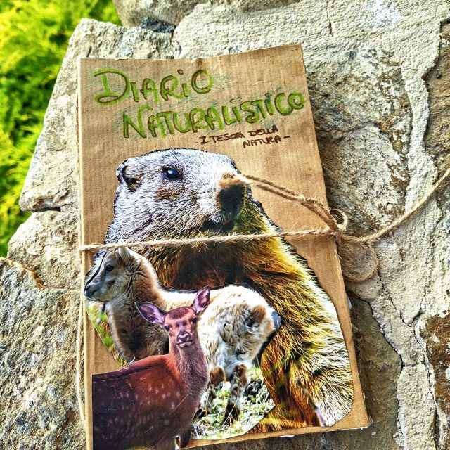 diario naturalistico 6
