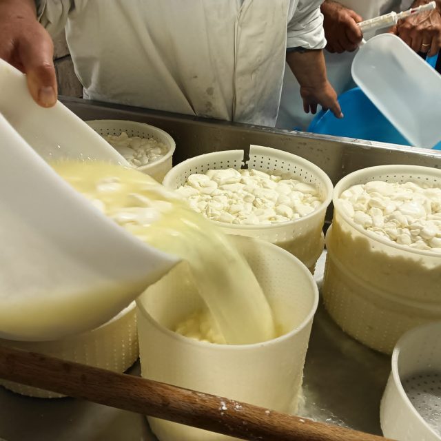 lavorazione del latte